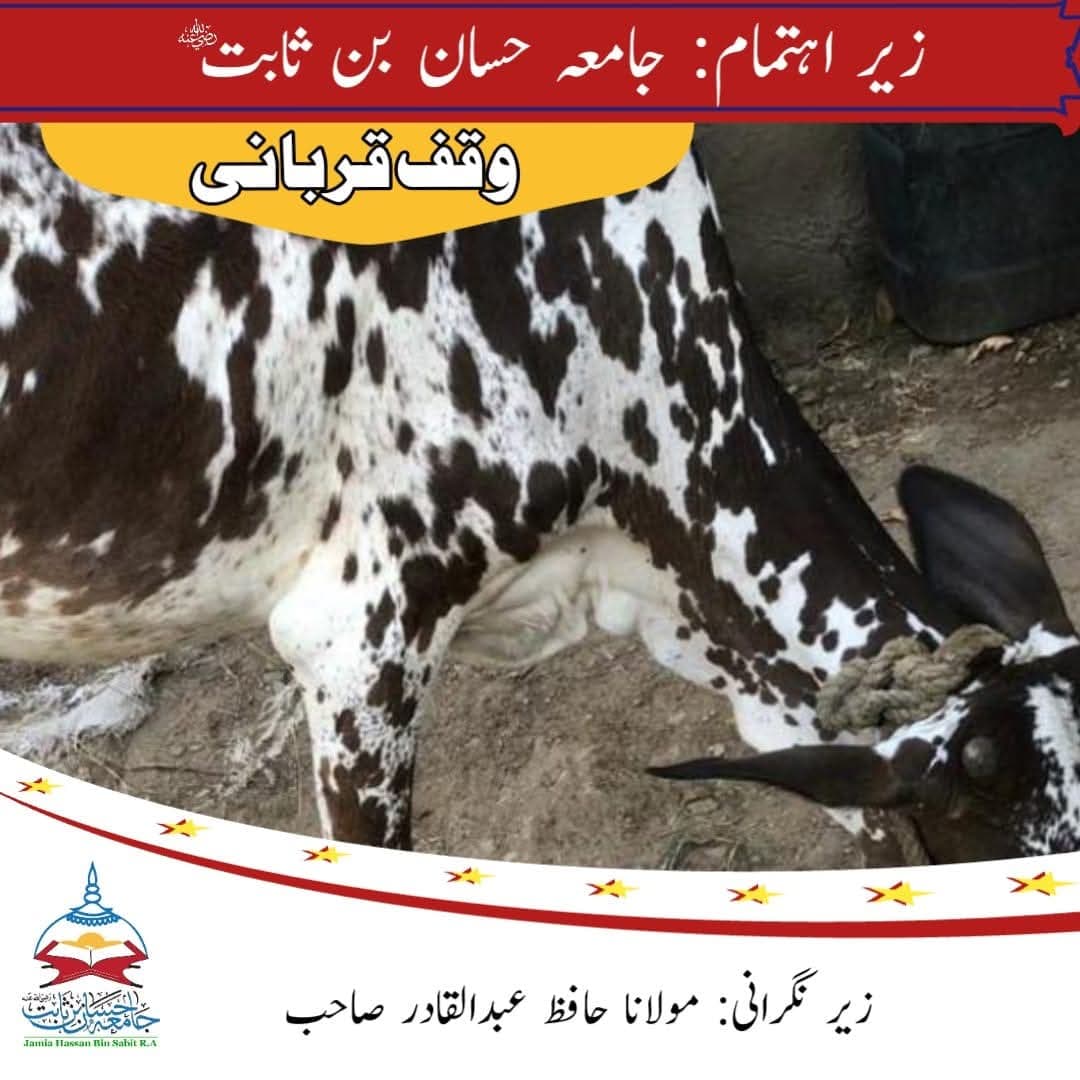 Qurbani Impact 1