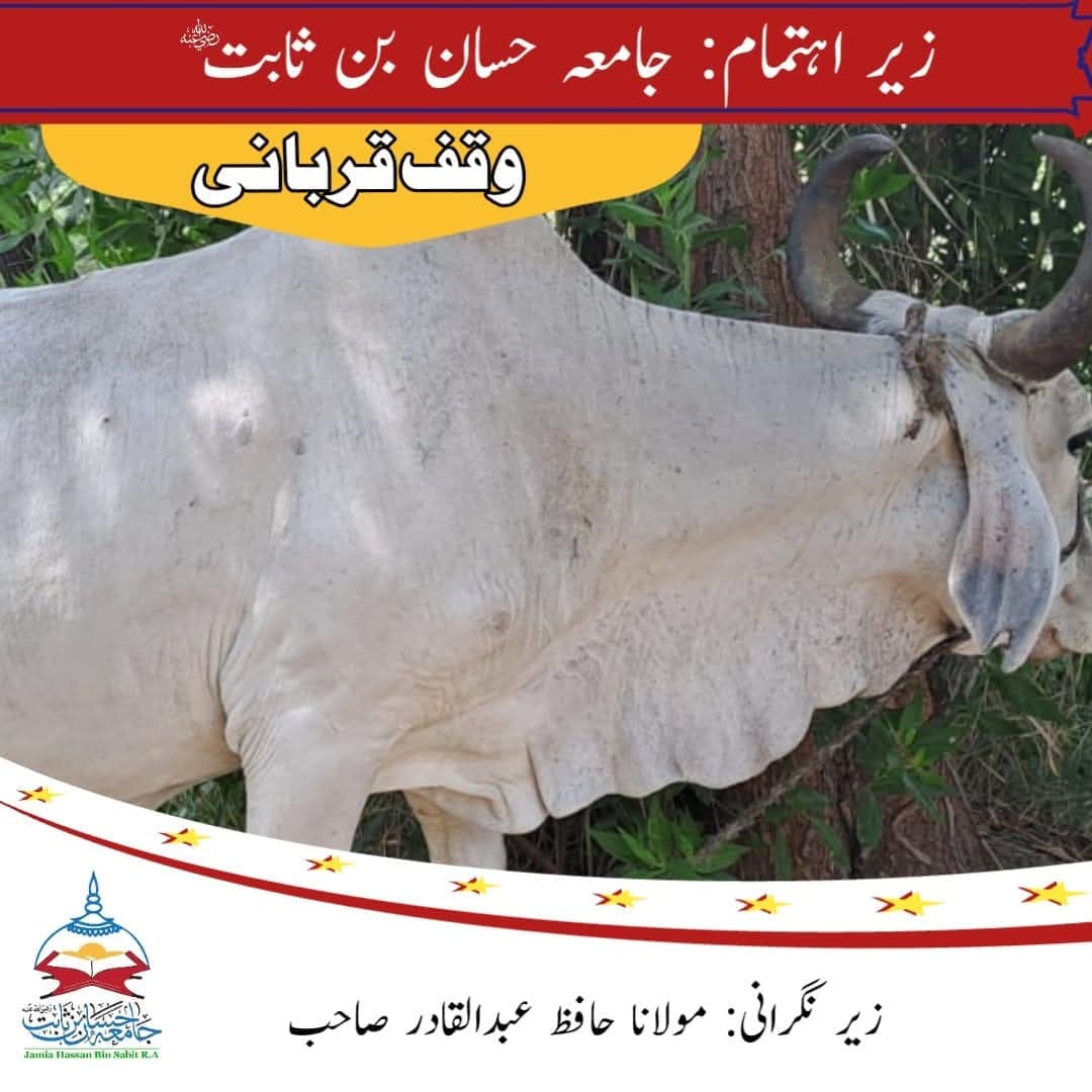 Qurbani Impact 2