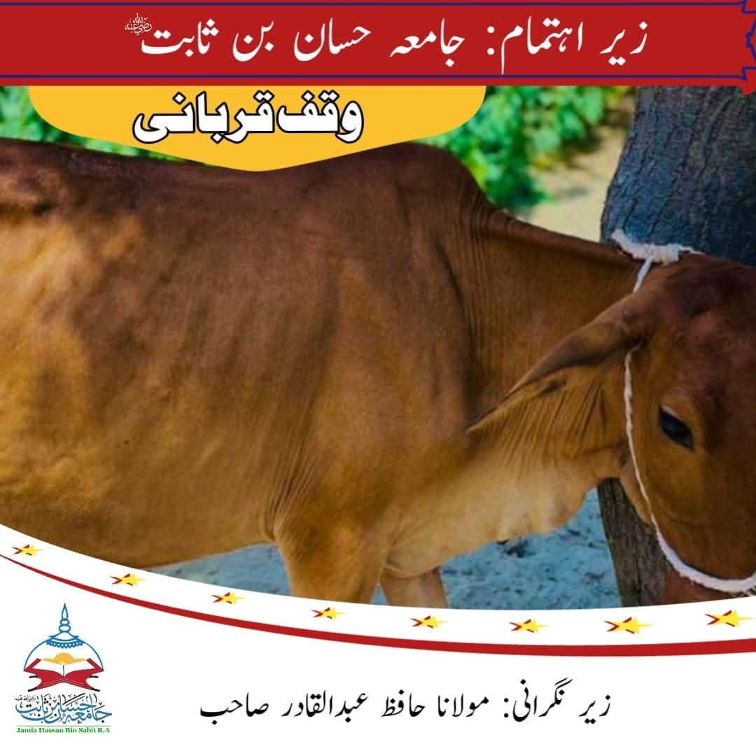 Qurbani Impact 3