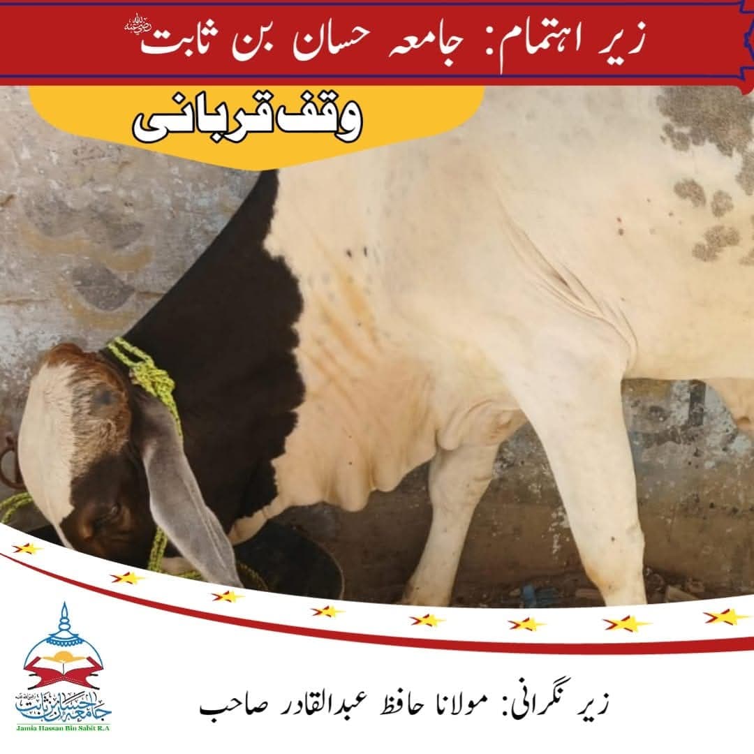 Qurbani Impact 4