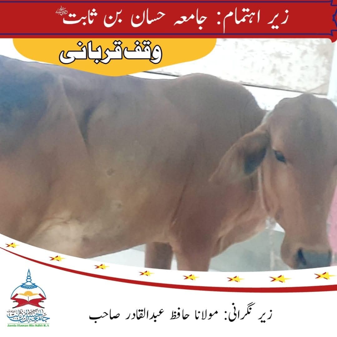Qurbani Impact 5